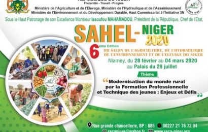 SAHEL-NIGER 2020