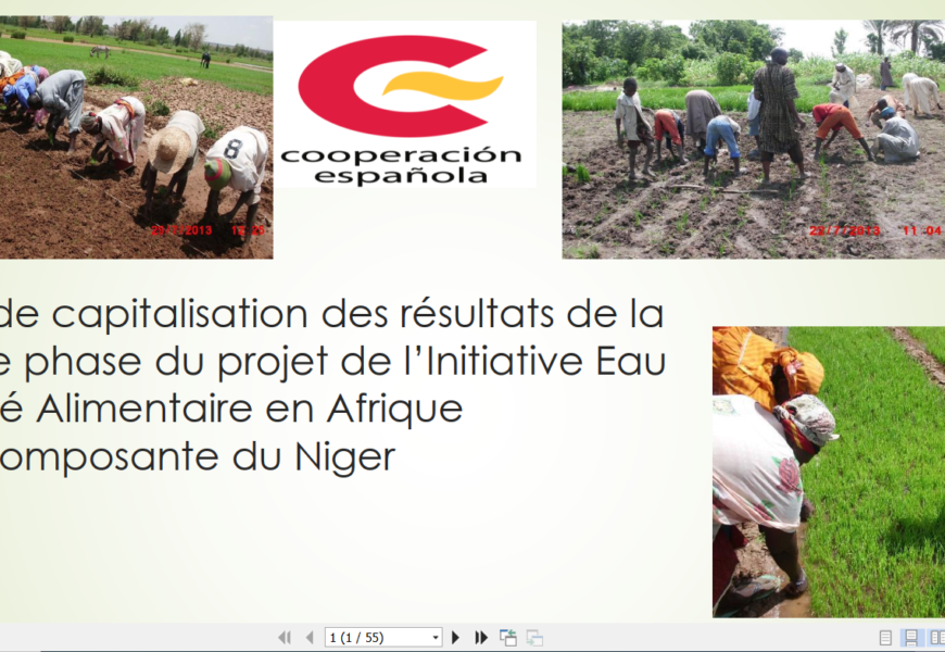 Rapport de capitalisation des résultats de la deuxième phase du projet de l’Initiative Eau et Sécurité Alimentaire en Afrique (IESAII)_Composante du Niger