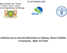 Initiative Eau et Sécurité Alimentaire en Afrique, Phase II (IESAII) Composante_ Niger du Projet