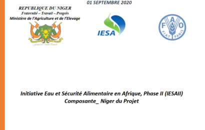Initiative Eau et Sécurité Alimentaire en Afrique, Phase II (IESAII) Composante_ Niger du Projet