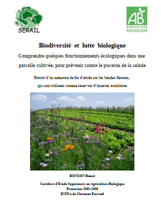 Biodiversité et lutte biologique – Extrait d’un mémoire de fin d’étude sur les bandes fleuries,…