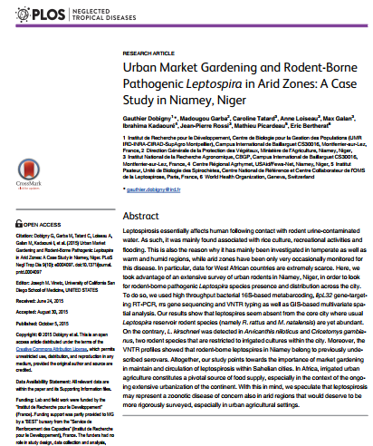 Urban Market Gardening and Rodent-Borne Pathogenic Leptospira in Arid Zones: A Case Study in Niamey, Niger