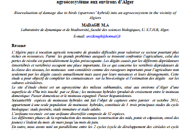 Bioévaluation des dégâts dus aux oiseaux (moineaux hybrides) dans un agroécosystème aux environs d’Alger