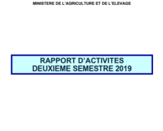 RAPPORT D’ ACTIVITÉS DEUXIEME SEMESTRE 2019