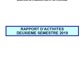 RAPPORT D’ ACTIVITÉS DEUXIEME SEMESTRE 2019