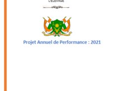 Projet Annuel de Performance : 2021
