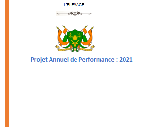 Projet Annuel de Performance : 2021