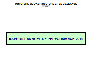 RAPPORT ANNUEL DE PERFORMANCE 2019