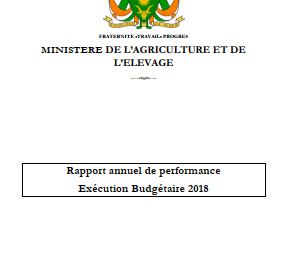 Rapport annuel de performance Exécution Budgétaire 2018