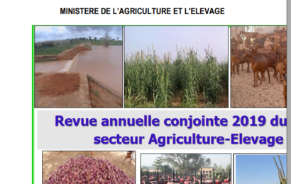 Revue Annuelle Conjointe 2019 du secteur Agriculture-Elevage