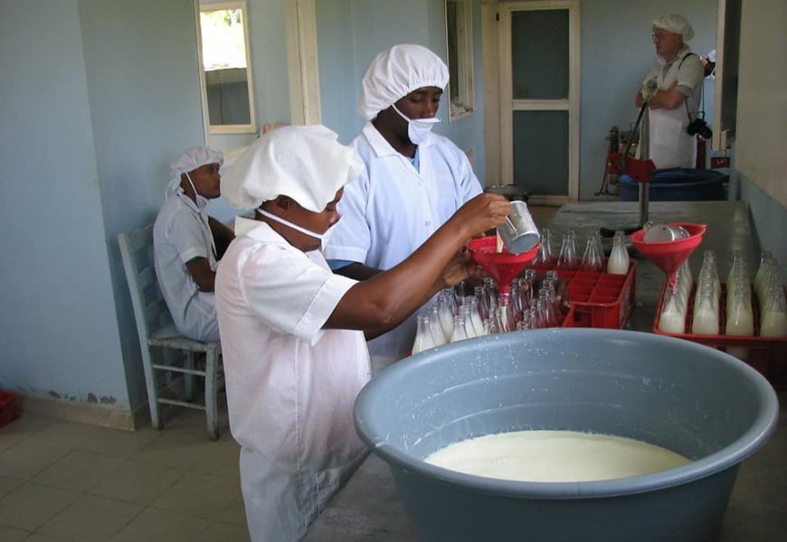 Niger production de lait année 2020