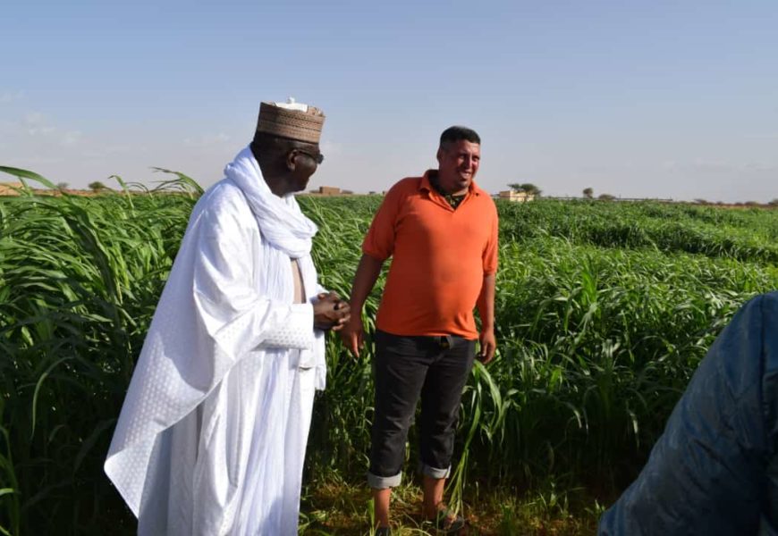 Visite du Ministre de l’Élevage Porte Parole du Gouvernement
