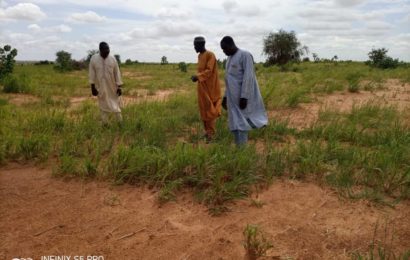 Mission d’intervention pour éradiquer des ravageurs à Zinder