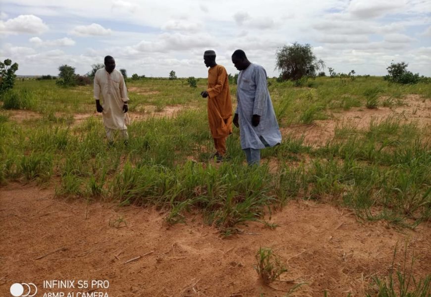 Mission d’intervention pour éradiquer des ravageurs à Zinder