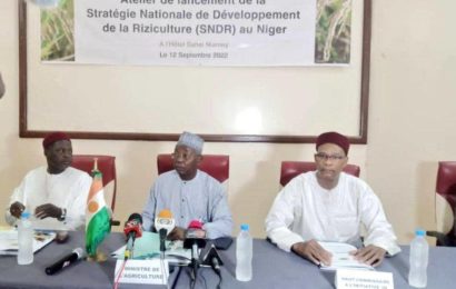 Le Niger lance un plan de 653 millions de dollars sur 10 ans pour doper la production rizicole