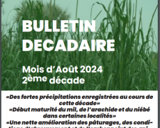 Bulletin Décadaire Août 2024