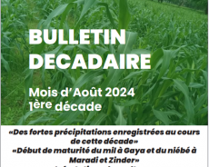 Bulletin Décadaire