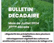 Bulletin DÉCADAIRE JUILLET 2024