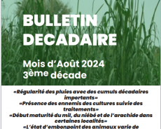 Bulletin 3ème décade Août 2024