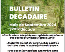 Bulletin Décadaire Septembre 2024