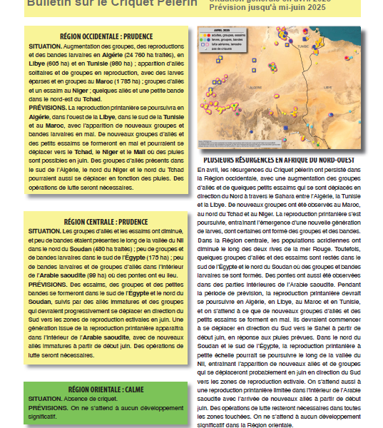 Bulletin sur le Criquet Pèlerin : situation générale en Avril 2025; prévision jusqu’à mi-juin 2025