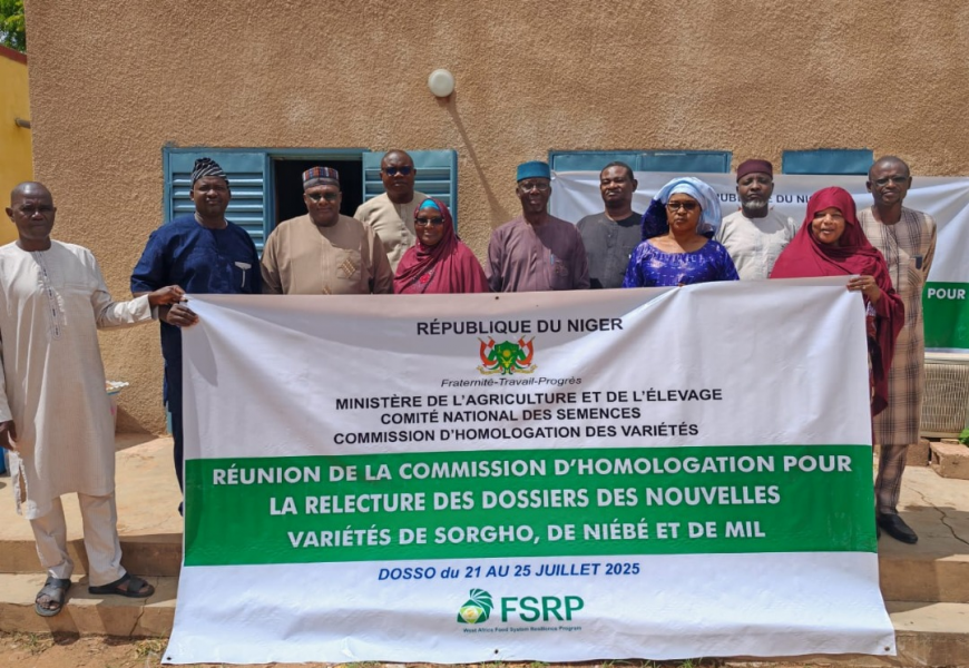 Réunion de la Commission d’Homologation pour la relecture des dossiers des nouvelles variétés de sorgho, de niébé et de mil
