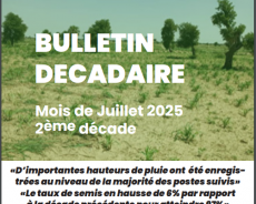 BULLETIN DECADAIRE      Mois de Juillet 2025         2ème décade
