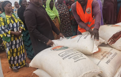 Travaux sur le site et don de semence à l’Association des fermières du Niger à Guesselbodi