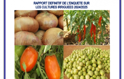 RAPPORT DEFINITIF DES CULTURES IRRIGUEES 2024-2025