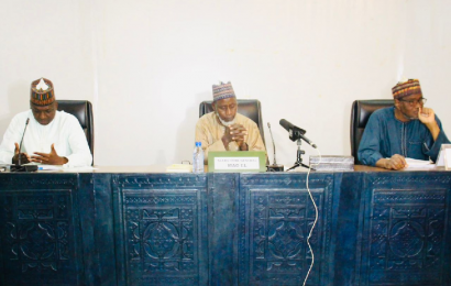 Atelier de validation de la stratégie et du plan d’actions pour la Promotion de l’Emploi décent des Jeunes et l’Entrepreneuriat dans les secteurs de l’Agriculture et l’Agro-alimentaire au Niger (PAPEJ2A).