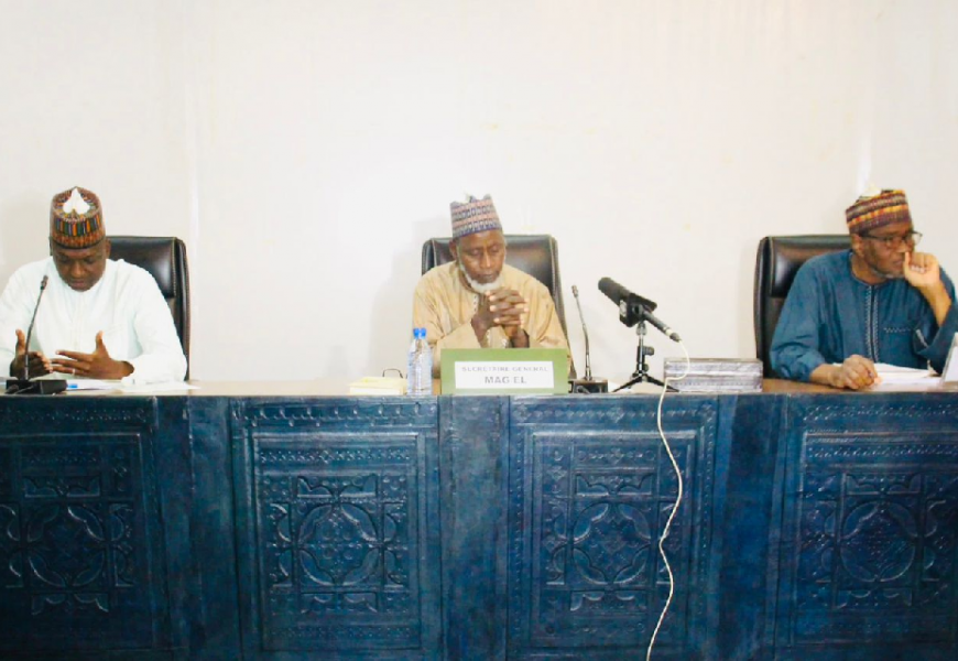 Atelier de validation de la stratégie et du plan d’actions pour la Promotion de l’Emploi décent des Jeunes et l’Entrepreneuriat dans les secteurs de l’Agriculture et l’Agro-alimentaire au Niger (PAPEJ2A)