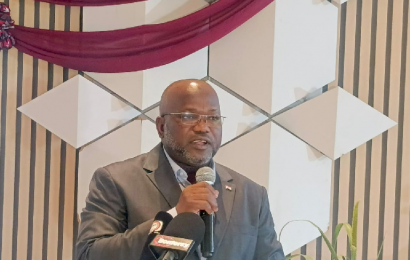 Cérémonie de clôture du programme 2 SCALE de l’Agro-industrie en Afrique, célébrant l’approche de l’Agro-industrie business inclusive – Niger