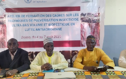 Atelier de formation sur les techniques de pulvérisation Insecticide et Bio pesticide organisé à Dosso par le CNLA.