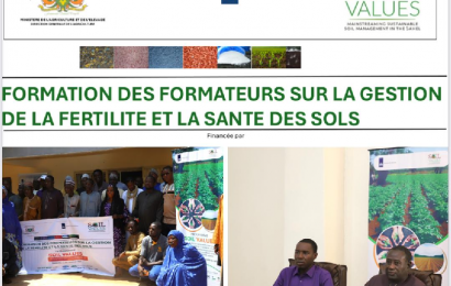 Formation sur la Gestion de la Fertilité et la Santé du Sol