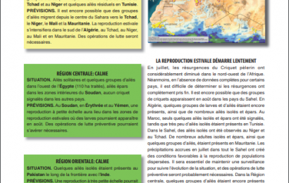 Le Bulletin de la FAO sur le Criquet pèlerin No. 562