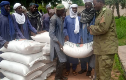 Distribution gratuite ciblée de semences de niébé au profit de 265 producteurs victimes de pluies de grêle dans des villages de Maradi