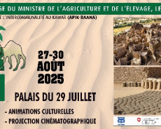 La Semaine du Kawar : Promotion de l’intercommunalité pour la cohésion sociale et le développement local.